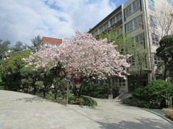 덕성여대 면접